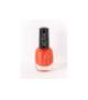 ASTRA Smalto Tradizionale unghia LASTING GEL EFFECT - Scegli il Numero