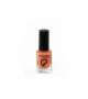 COLLECTION SMALTO LACCATO 10 ml - Scegli