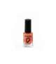 COLLECTION SMALTO LACCATO 10 ml - Scegli