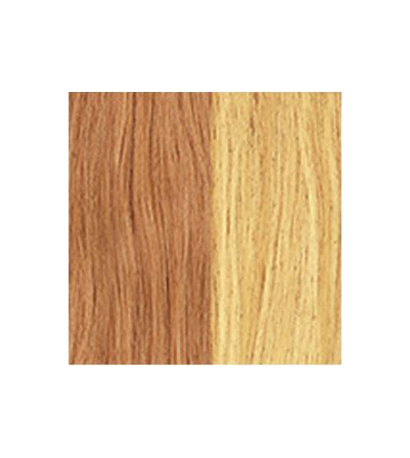 EXTENSION BIADESIVE Capelli naturali 10 ciocche LISCI- MECHATO - colore C 27/140