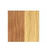 EXTENSION BIADESIVE Capelli naturali 10 ciocche LISCI- MECHATO - colore C 27/140