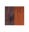 EXTENSION BIADESIVE Capelli naturali 10 ciocche LISCI MECHATO - colore C 32/130