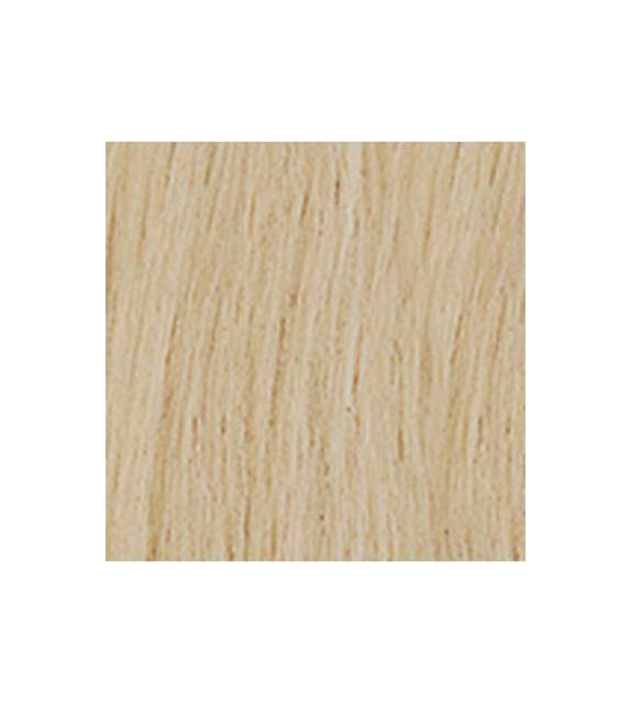 EXTENSION BIADESIVE Capelli naturali 10 ciocche LISCI - colore C 24