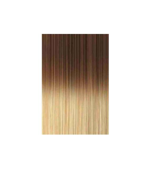 EXTENSION BIADESIVE Capelli naturali 10 ciocche LISCI OMBRÈ - colore C 17/26