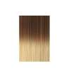 EXTENSION BIADESIVE Capelli naturali 10 ciocche LISCI OMBRÈ - colore C 17/26