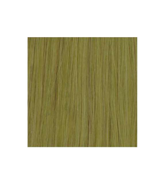 EXTENSION BIADESIVE Capelli naturali 10 ciocche LISCI - colore C GREEN