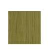 EXTENSION BIADESIVE Capelli naturali 10 ciocche LISCI - colore C GREEN