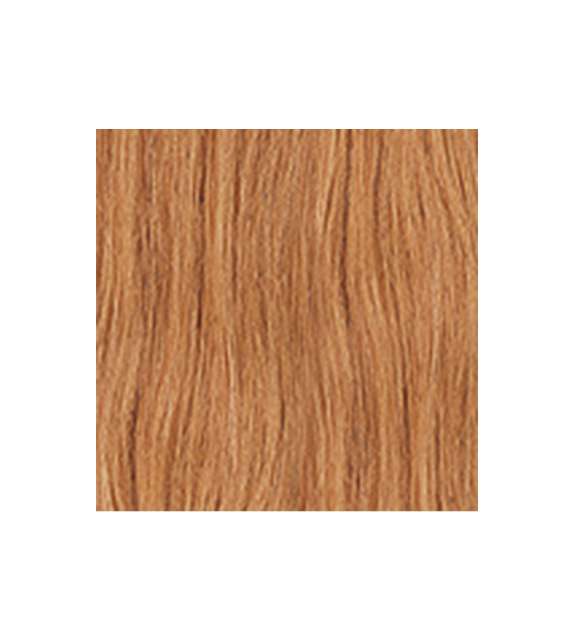 EXTENSION 3 CLIPS IN ACCIAIO Capelli naturali LISCI - colore C 27