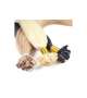EXTENSION CHERATINA Capelli naturali 20 ciocche LISCI - colore 31 -scegli lungh.