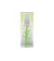 CRISTALLI LUCIDANTI BIO Nutrienti e Protettivi RAYWELL AMLA OIL 100ml
