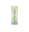 CRISTALLI LUCIDANTI BIO Nutrienti e Protettivi RAYWELL AMLA OIL 100ml