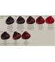 TINTA COLORPLEX Vegetal Keratin RAYWELL 100ml - Scegli Colore