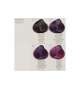 TINTA COLORPLEX Vegetal Keratin RAYWELL 100ml - Scegli Colore