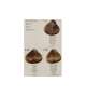 TINTA COLORPLEX Vegetal Keratin RAYWELL 100ml - Scegli Colore