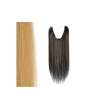 EXTENSION PIASTRABILE 33X50 CON 5 CLIPS COL.1003 BIONDO CHIARO DORATO