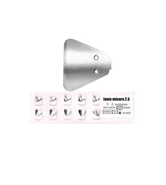 LAME TIPO SAFE PEDICURE MISURA 2,5 (CONF. 50 PEZZI)