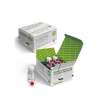 PAPAINA- LOZIONE RITARDANTE RICRESCITA PELI Holiday- conf.  6 fiale x10ml