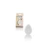 SPUGNETTA IN SILICONE IPOALLERGENICA TRASPARENTE - BLENDER SENZA LATTICE