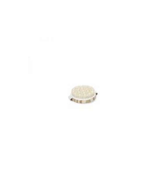 SPAZZOLA CORPO LEGNO ROTONDA CON FASCIA CM11X11X3,5H  BENESSERE
